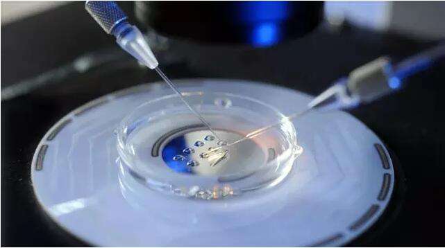 单身女性冻卵事件,年轻女性冻卵