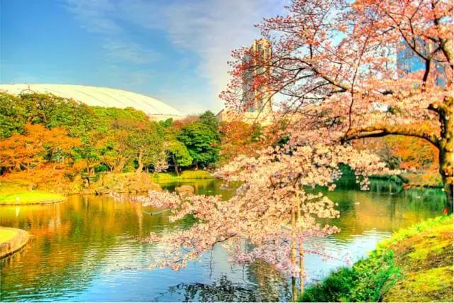 东京旅游一定要去的10个地方,去东京旅游有什么好玩的地方