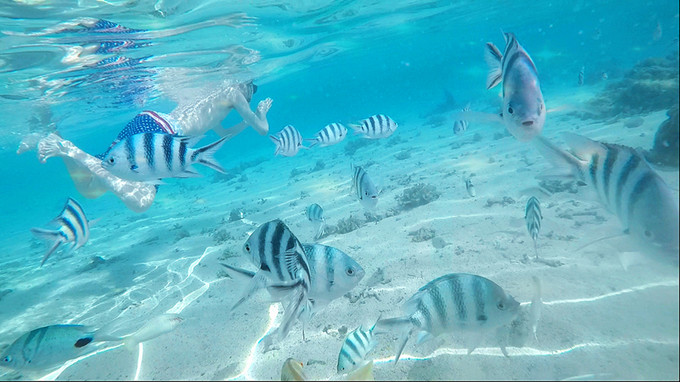 穷游毛里求斯,毛里求斯自由行穷游攻略