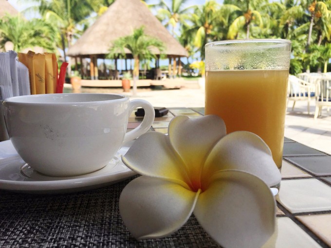 穷游毛里求斯,毛里求斯自由行穷游攻略