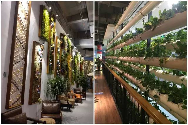 长春有风景的餐厅,在长春有这样一家餐厅你会常去吗