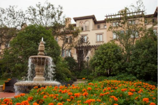 十年记｜纳帕溪谷·时间的故事