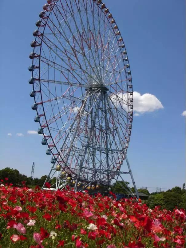 东京旅游一定要去的10个地方,去东京旅游有什么好玩的地方