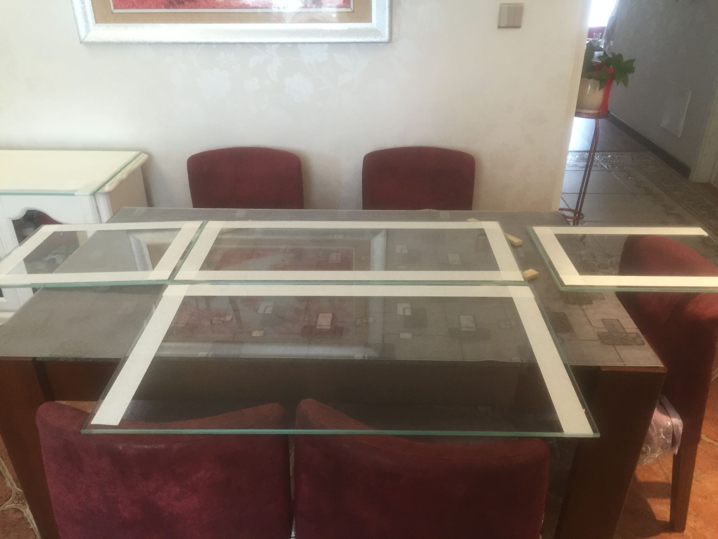 浮云社合集,小鱼缸隔离缸diy