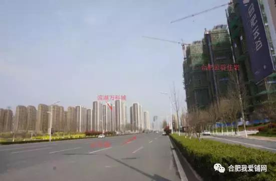 实探合肥,实探合肥滨湖