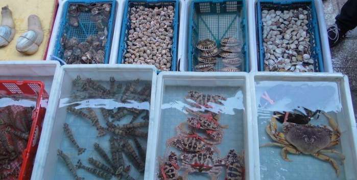 海鲜冻货批发生意好做吗,海鲜批发市场是怎么赚钱的