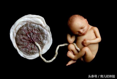 几个月胎盘可以恢复成正常胎盘吗,生完孩子的胎盘怎么处置有讲究么