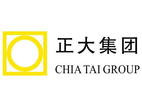 伊藤忠公司,日本伊藤忠集团