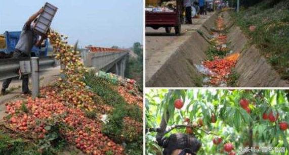 新农村创业致富方法有哪些,农村小本创业致富指南