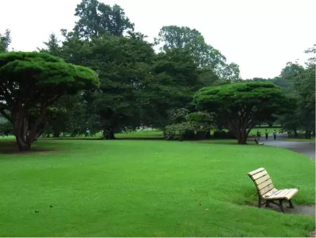 东京旅游一定要去的10个地方,去东京旅游有什么好玩的地方