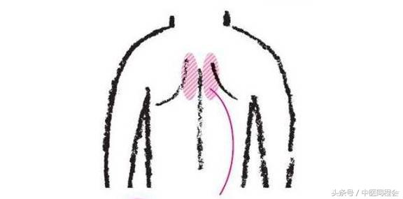 清痰止咳刮痧方法,刮痧治肺寒咳嗽有效吗