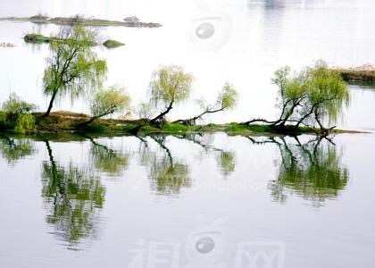 朝辞白帝彩云间千里江陵古诗,李白诗词千里江陵一日还