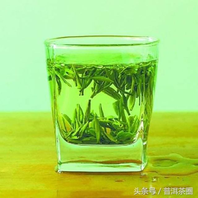 普洱茶和绿茶有何不同,普洱茶和绿茶的区别