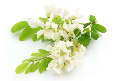 例假可以吃炎症药吗,例假期间可以喝土茯苓吗