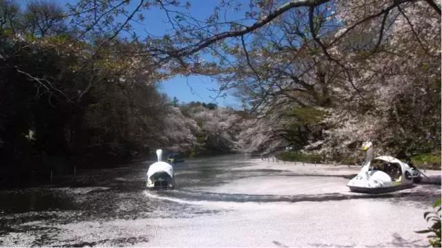 东京旅游一定要去的10个地方,去东京旅游有什么好玩的地方