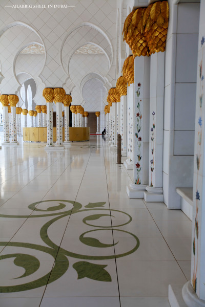 迪拜的旅行vlog,迪拜之旅vlog模板