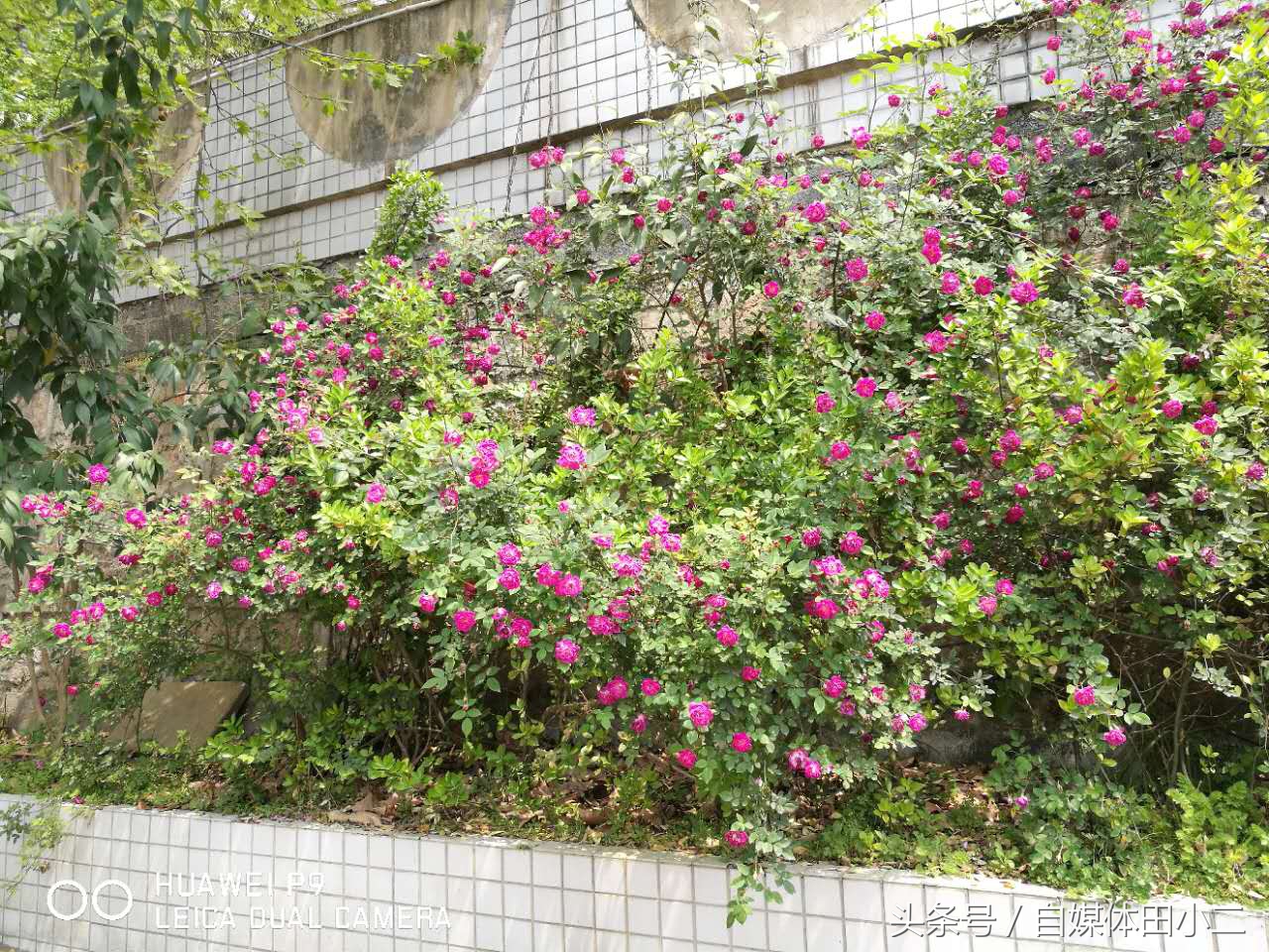 汇川区小学生足球联赛比赛,2021年雏鹰展翅比赛