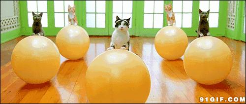 网红fancy美瞳 (网红fancy真人怎么样)