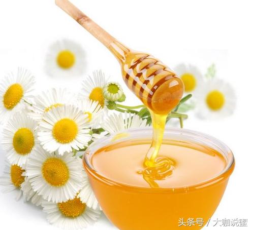 香蕉酸奶加蜂蜜有什么功效,酸奶加蜂蜜加香蕉晚上喝好吗