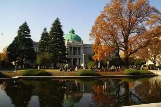 东京旅游一定要去的10个地方,去东京旅游有什么好玩的地方