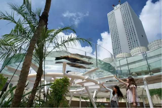 东京旅游一定要去的10个地方,去东京旅游有什么好玩的地方