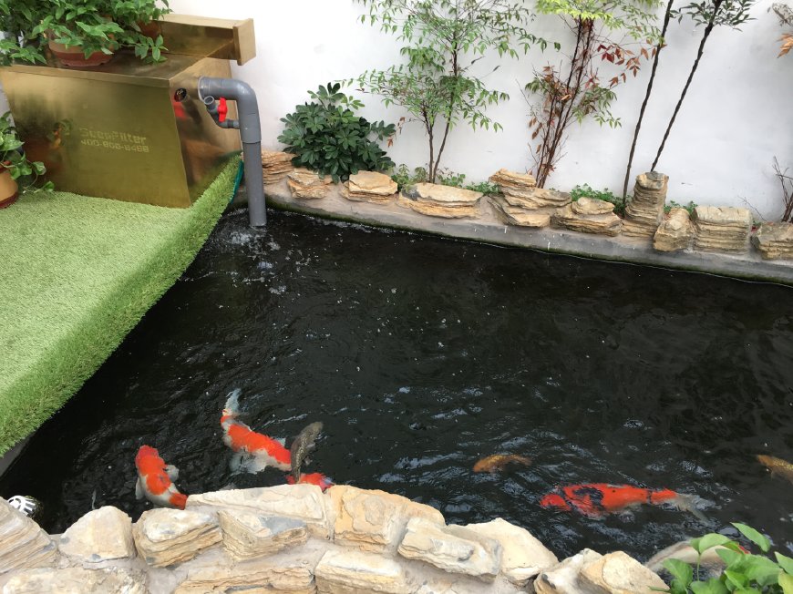 福建家庭园林假山鱼池景观设计,园林鱼池假山流水制作方法大全