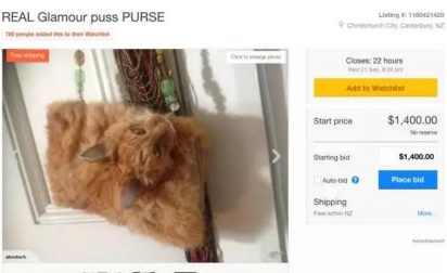 国外公然叫卖由真猫做成的包，价格高达1万竟然还被抢断货