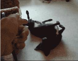 上课逗女同学,每个班里都会有这么一个逗逼