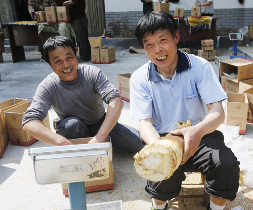 大墅镇春笋找到了吗 (大墅镇春笋新闻)