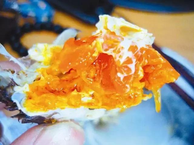 蟹黄豆腐煲的做法步骤,做好吃的蟹黄豆腐煲