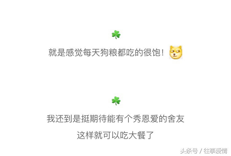 有一个特爱炫耀的室友,室友特别喜欢秀恩爱