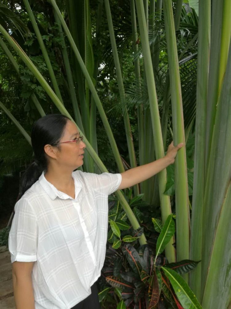 浪在枕边海在眼前——海南三亚行