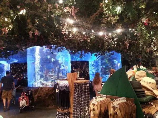 美国奥兰多攻略,奥兰多小镇自由行热门攻略