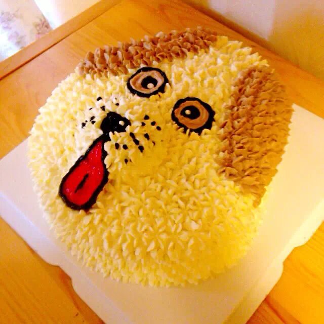 个性生日蛋糕视频,个性生日蛋糕图片动漫