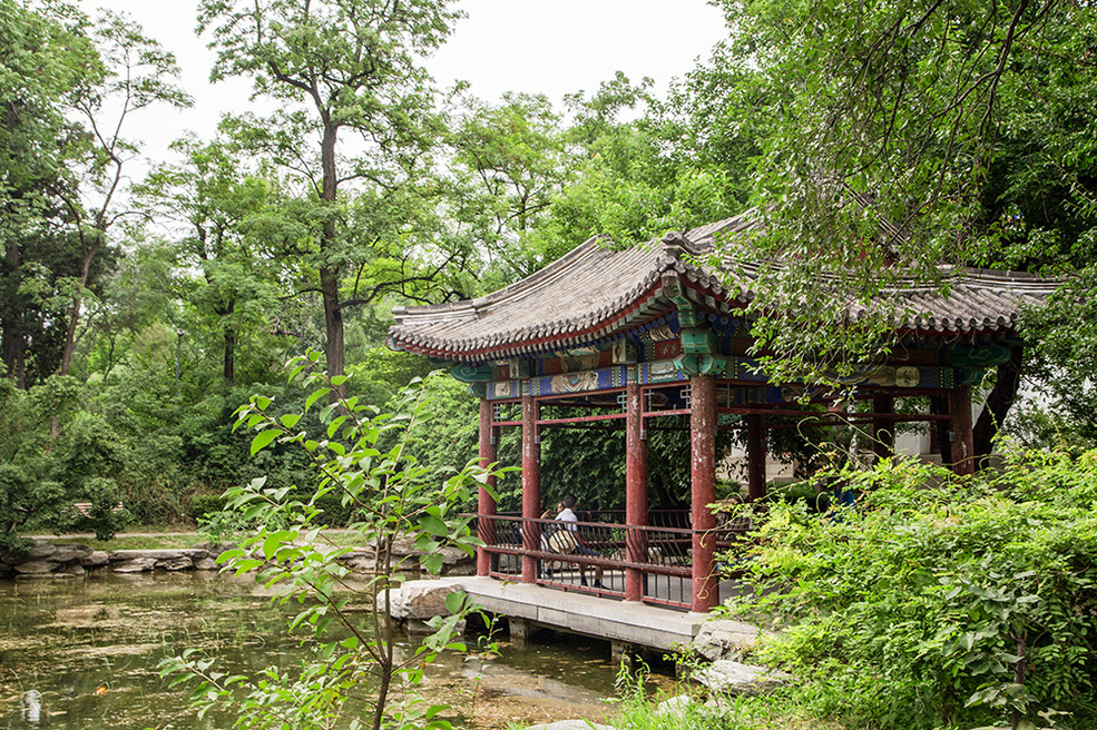 北京大学有几个燕园,北京大学燕园校区是哪个区