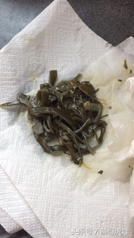 没有常识的家政阿姨竟然给汪星人吃海带，只因怕浪费害苦了宝宝