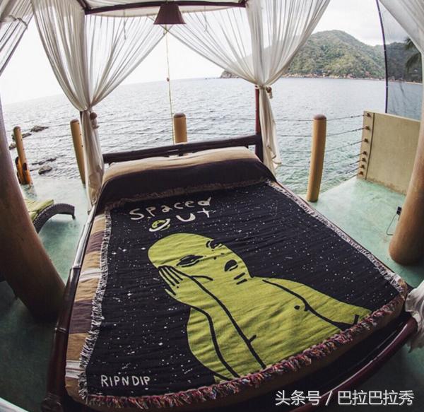 潮牌最强王者，不要再怂了！不如让这只贱猫帮你出头！