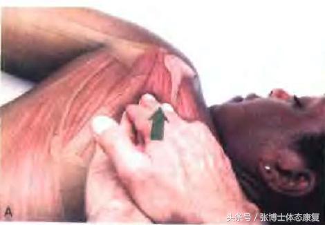 肩关节软组织损伤康复的最佳方法,损伤类疾病的康复训练