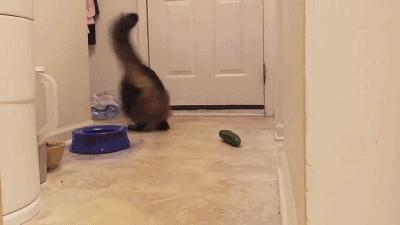 ysl2024新款口红官方售价,必买的6支口红ysl