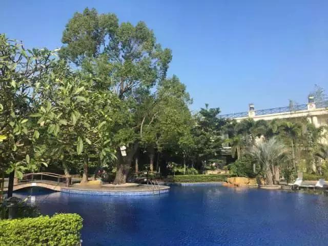 南粤动态｜周末就是复活节了，快到樟木头三正半山酒店来狂欢吧！