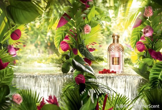 最好闻的五种大牌玫瑰香水,淡香型玫瑰香水推荐