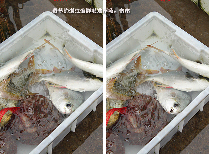湛江本地人都爱去的地方,湛江一个人去的景点有哪些
