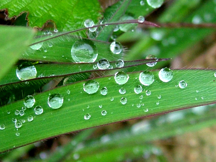 想不到还有这些养生作用,5大食疗良方让你远离它