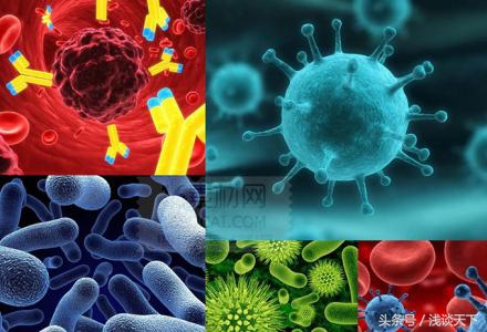 肠道细菌，掌控你健康的“幕后老板”之一