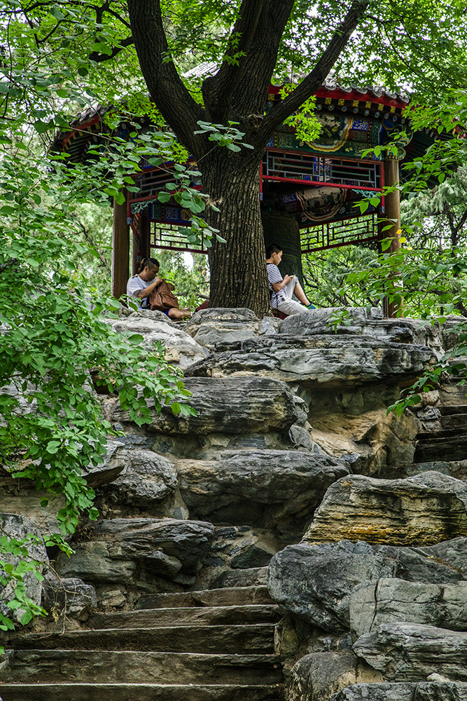 北京大学有几个燕园,北京大学燕园校区是哪个区
