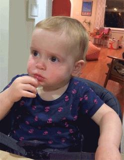 蒲公英不是晒干就能喝,真正的蒲公英可以吃吗