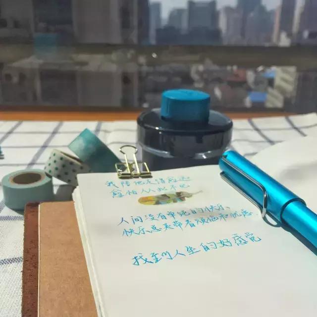 lamy限量版有哪些颜色,lamy钢笔古铜色跟橙色对比