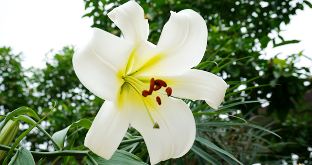 测试选香水,约会香水推荐怎么选