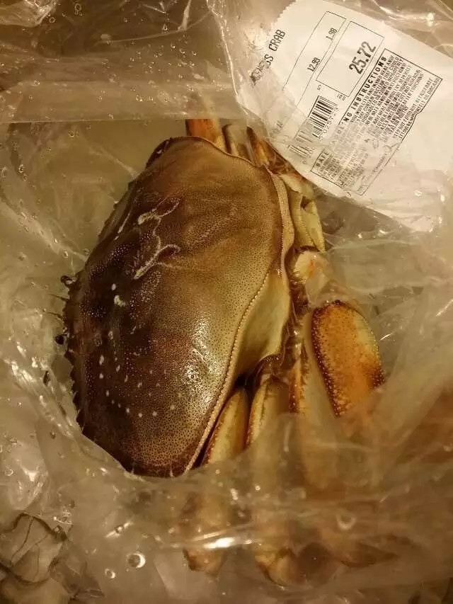 美国奥兰多攻略,奥兰多小镇自由行热门攻略