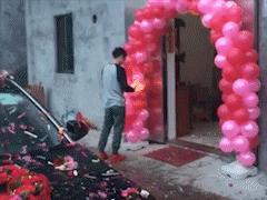 蒲公英不是晒干就能喝,真正的蒲公英可以吃吗